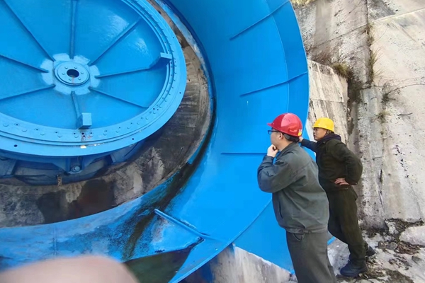 龍背灣水電站金結設備運維項目（1）